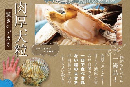 北海道 野付産 漁協直送 冷凍ホタテ 貝柱 特大 ホタテ 1kg（ ほたて 帆立 ホタテ 貝柱 北海道 野付 別海町 人気 ふるさと納税 ）