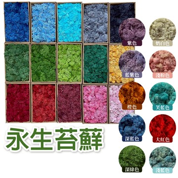 【台灣現貨】moss馴鹿草 永生苔蘚 微景觀 青苔 苔癬 12克裝 鈔票蛋糕材料 多肉植物 乾燥花 水草