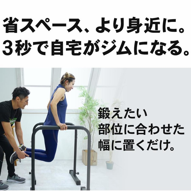 STEADY ディップススタンド 新開発TS System支柱 耐荷重150kg