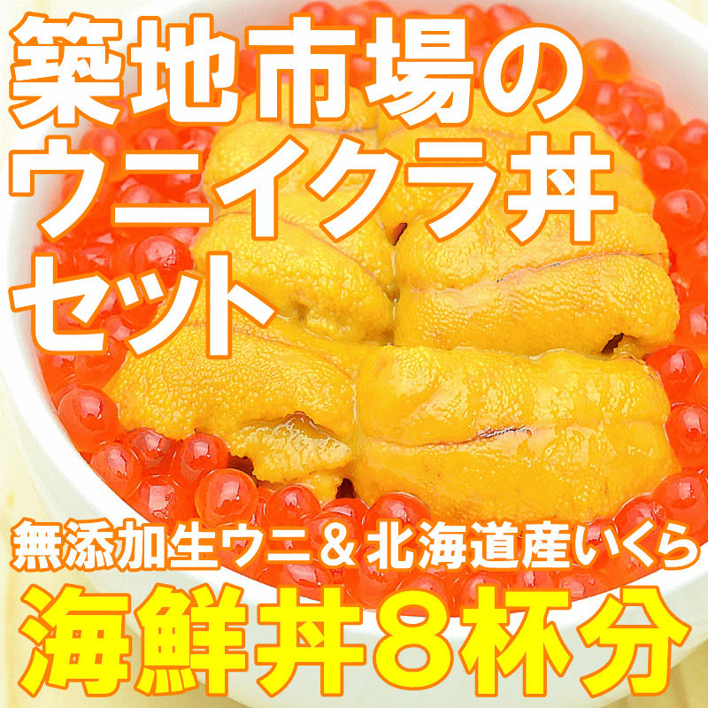 送料無料 築地市場のウニイクラ丼セット（８杯分・無添加生ウニ４００ｇ＆いくら醤油漬け４００ｇ）海鮮丼で約８杯分