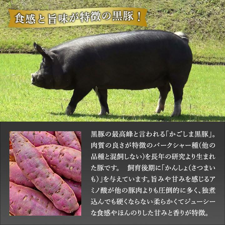 鹿児島 黒豚 しゃぶしゃぶ 鍋セット 4人前 豚肉 肩ロース 520g あごだしで食べる お取り寄せ ギフト 六白豚 しゃぶしゃぶセット 銘柄豚 グルメ 独楽