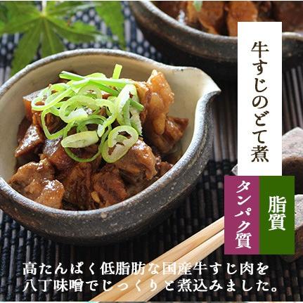 2023 お歳暮 ギフト お惣菜 セット 冷凍食品 冷凍 惣菜 無添加 おかず 詰め合わせ 食品 温めるだけ お試しセット 9種類×1パック