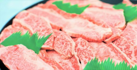 11 特撰飛騨牛Ａ５等級　上カルビ(バラ)　焼肉用800g