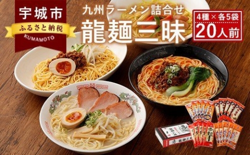 龍麺三昧 ラーメンセット 4種 各5本 合計20人前