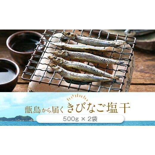 ふるさと納税 鹿児島県 薩摩川内市 AS-005 きびなご塩干1kgセット(500g×2)