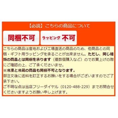 極上カマス開き　10枚 いずま海産 高知 かます トロかます 室戸 干物