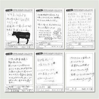 飛騨牛 ステーキ 各100g×2枚 400g 2〜4人前 ヒレ＆ランプ A5 A4 食べ比べ 肉 牛肉 ギフト 和牛 国産 赤身 ヒレ肉 フィレ 結婚祝い 出産祝い 内祝い