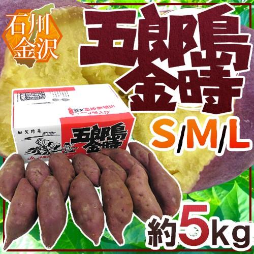 石川県 加賀野菜 ”五郎島金時” S M Lサイズ 約5kg さつまいも 送料無料