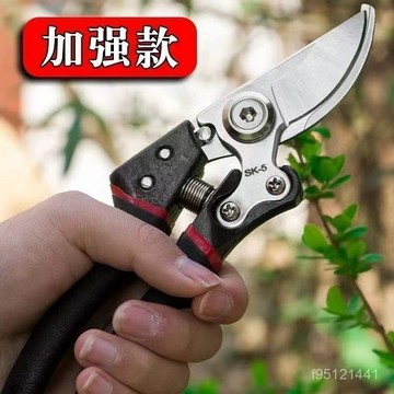 🚚台灣12H🚚德國進口鋼粗枝剪省力修枝剪刀園藝修花木果樹嫁接園林剪農用工具 園藝剪 園林剪 修枝剪BFXE