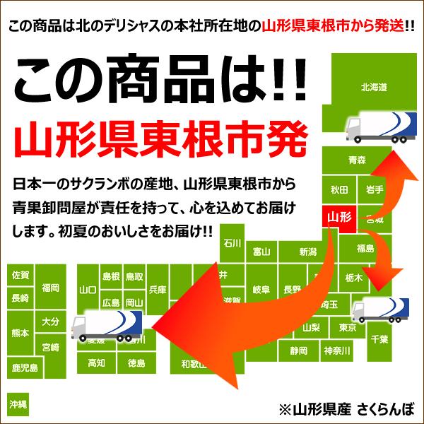 山形県産 訳あり さくらんぼ 佐藤錦 3kg (Lサイズ ばら詰め 1kg×3箱) 露地 わけあり 3.0kg 家庭用 自宅用 山形 産地直送 送料無料 お取り寄せ