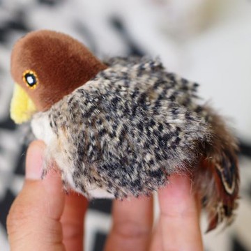 會叫的小鳥GiGwi貴為炫律獵物小鳥貓咪玩具逗貓玩具貓咪用品