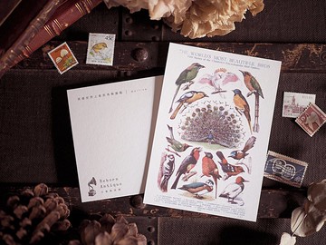 英國1910年百科圖鑑 復刻版明信片 K款