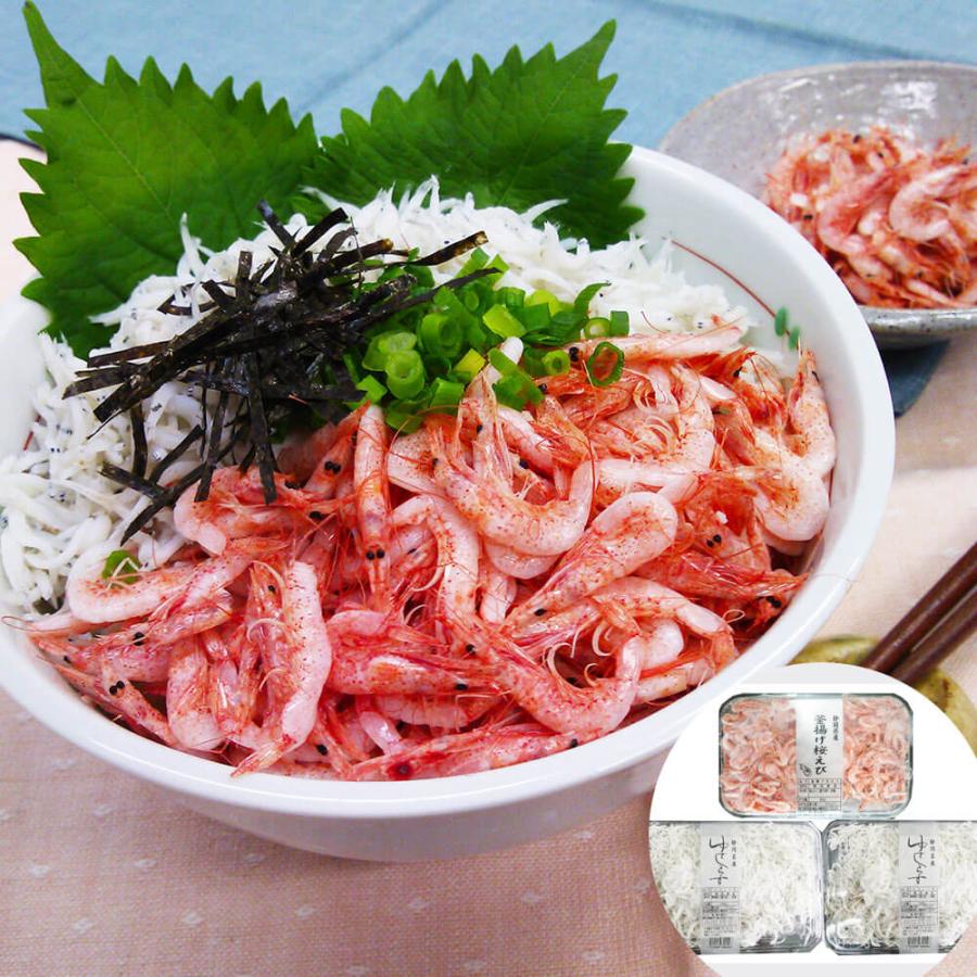 静岡 石原水産 駿河湾産 釜揚げ桜えび＆しらすセット釜揚げ桜えび80g、ゆでしらす130g×2　グルメ