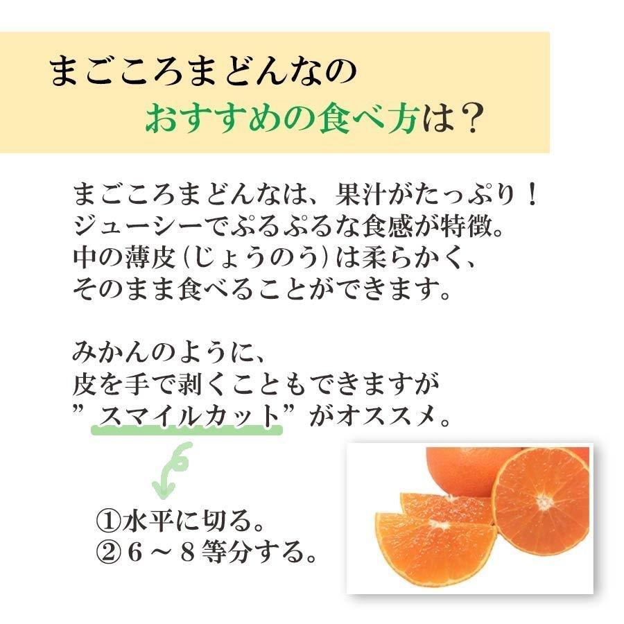 みかん 紅まどんな 同品種 訳あり ご家庭用 4kg 甘い 愛媛 西宇和地区 八幡浜市産 010105000408