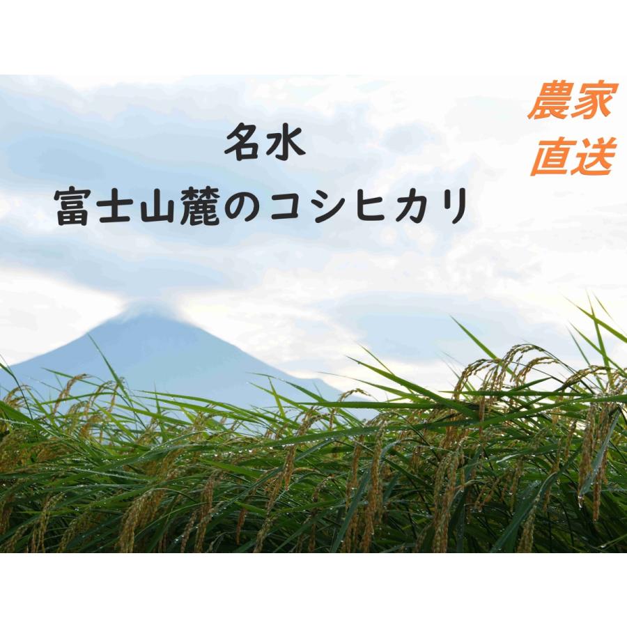 令和5年産　炊くとふっくら！霊峰富士山の湧き水が作った絶品コシヒカリ 5kg （5キロ）  100％新米 玄米 お米 コシヒカリ 静岡産　単一原料米