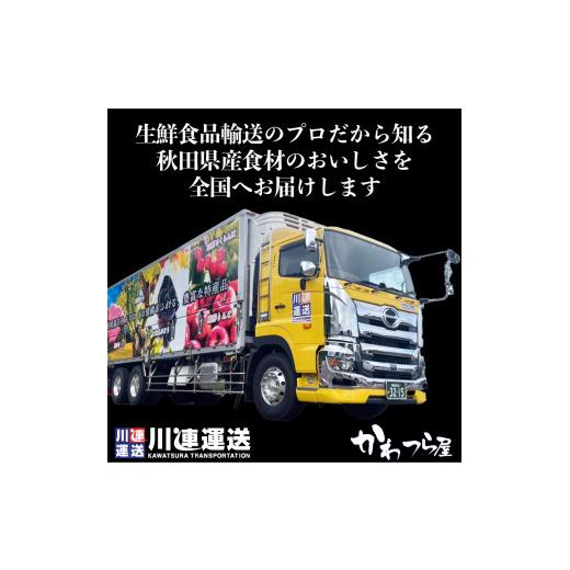 ふるさと納税 秋田県 湯沢市 オリジナルレトルト詰合せ25食セット[C3-3701]