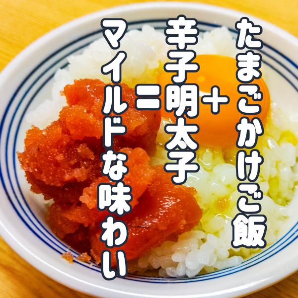 博多の味 からし明太子 500ｇ 化粧箱入り 贈り物 お中元