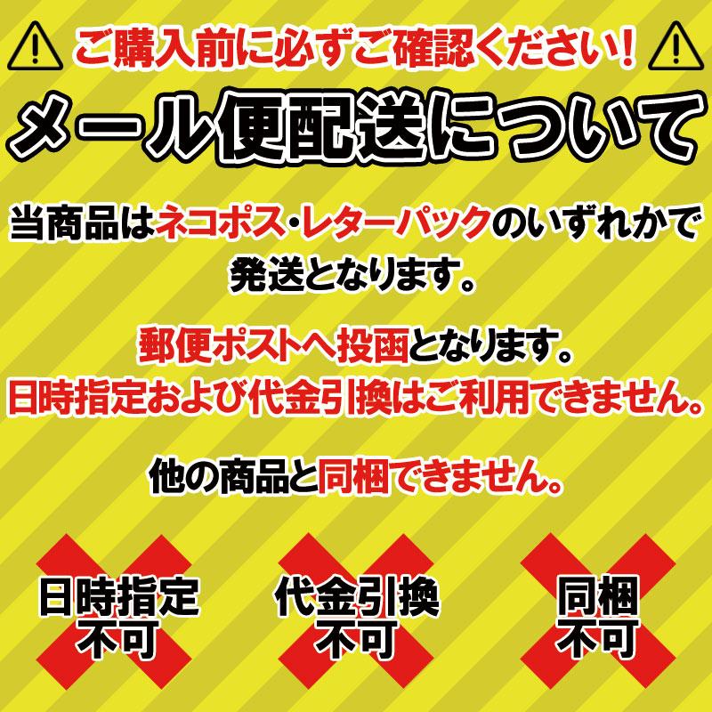 ササキスポーツ SASAKI 新体操 シューズ ウォッシュアップハーフシューズ インソール 抗菌・防臭