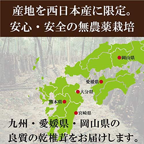 干し椎茸 国内産お試しどんこ椎茸80ｇ