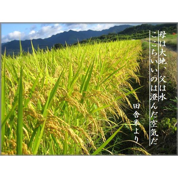 5年産　熊本県産ヒノヒカリ精白米10ｋｇ