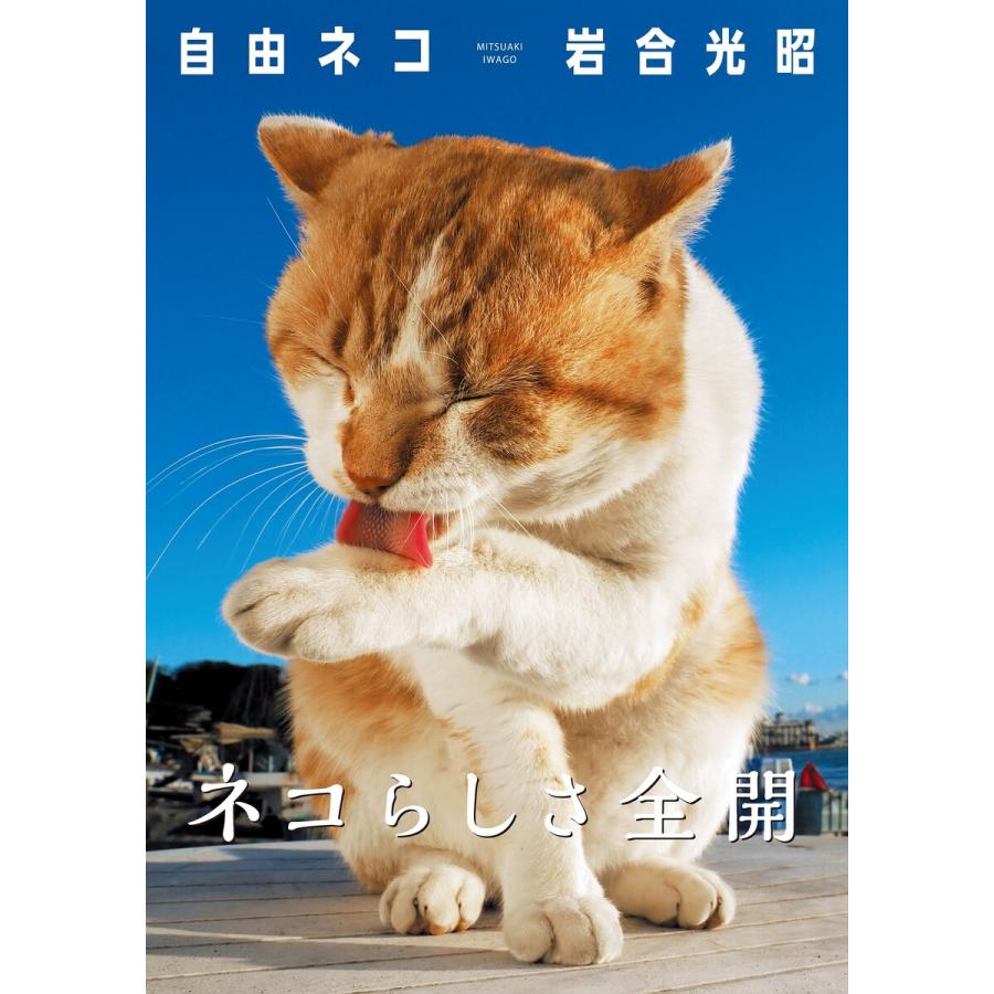 岩合光昭 写真集 「自由ネコ」 電子書籍版   岩合光昭(著)