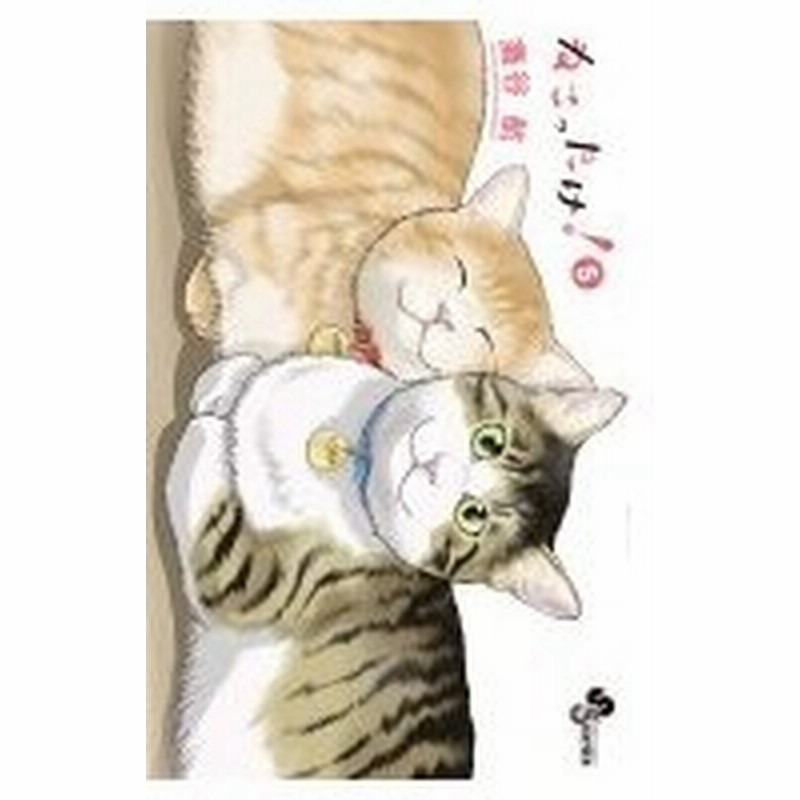 ねこったけ 5 少年サンデーコミックス 灘谷航 コミック 通販 Lineポイント最大0 5 Get Lineショッピング