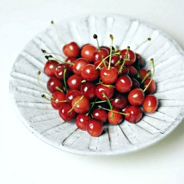 美濃燒粉引線雕紋淺缽_粉引ミチカタ彫り 7寸皿 盤子 淺缽  中皿 粉引缽 美濃燒 rokuro