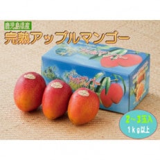 完熟アップルマンゴー約1kg