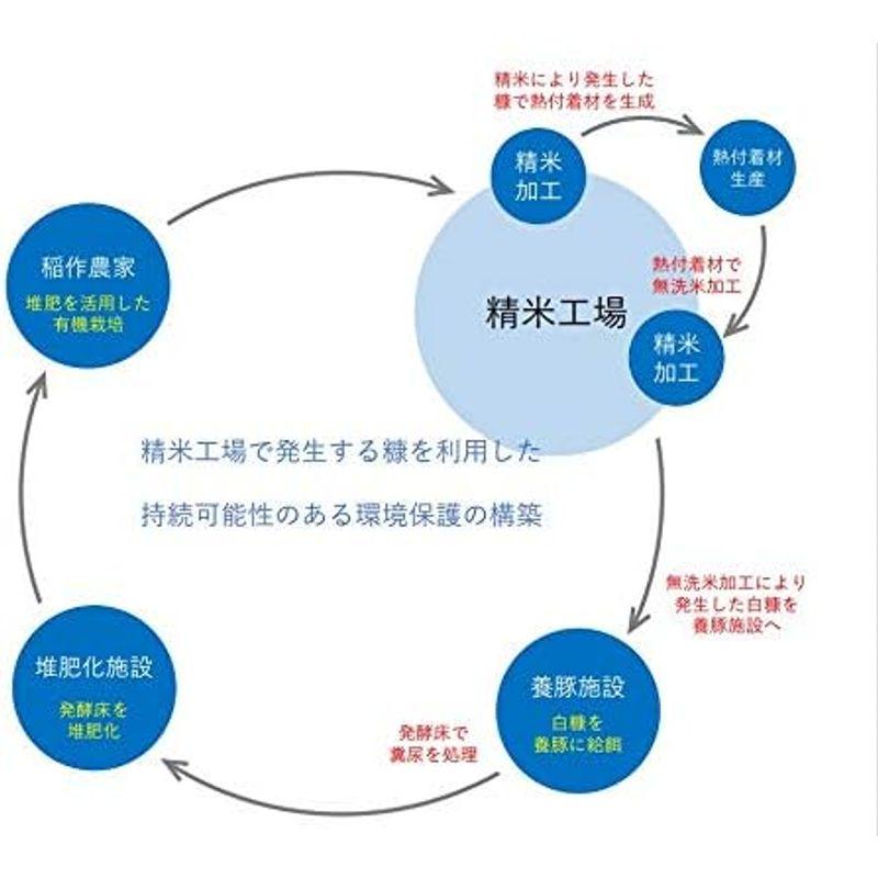 精米 山形県産 無洗米 つや姫 5kg令和4年