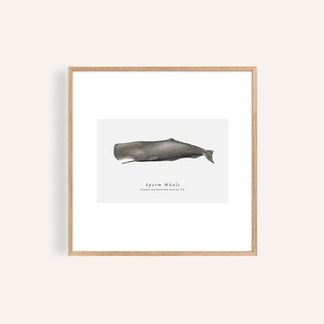 守護鯨海 Ocean Guardian / 鯨魚海洋插畫組合畫 / 照片牆 掛畫