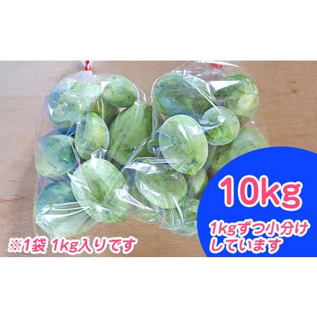 ふるさと納税 北海道 富良野市 摘果メロン 10kg ≪1kg×10袋≫ お漬物用 2024年 春夏発送 (中山農園) 北海道富良野市