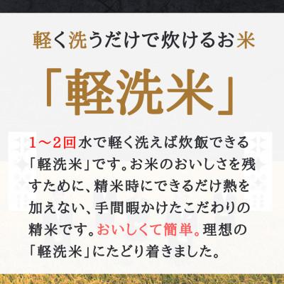 ふるさと納税 東神楽町 ななつぼし　10kg(5kg×2袋) 全6回