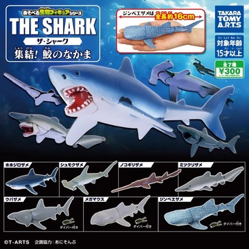 ✿AREA.TOY✿扭蛋-可動生物模型-THE鯊魚鯊魚同伴