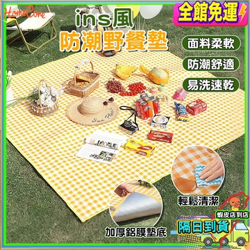 【隔日到貨 🔥防水好收納🧺】加厚鋁膜野餐墊 戶外地墊 防潮墊 野餐露營 沙灘草地使用 可折疊收納 輕便攜帶 大尺寸