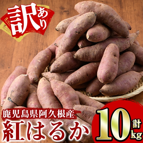 akune-2-151 ＜訳あり＞鹿児島県産さつまいも「紅はるか」(計10kg)国産 熟成 詰め合わせ 野菜 さつま芋 焼芋 鹿児島産 大小混合 期間限定2-151