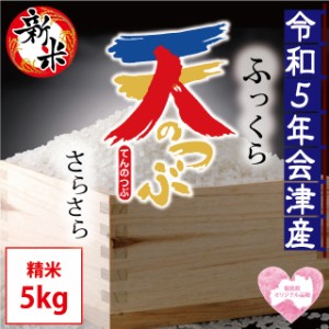 新米 天のつぶ 精米 5kg 会津産 令和5年産 ※九州は送料別途500円・沖縄は送料別途1000円