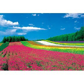 HM - 風景系列-花田(2) 台灣製 1000片拼圖 HM100-264