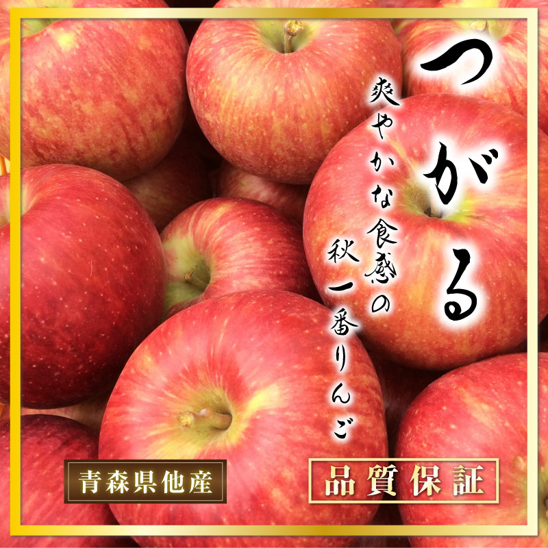 [予約 2023年10月1日-10月20日の納品] つがる 約 5kg 14-16玉 大玉 化粧箱 秋ギフト 津軽 りんご リンゴ ツガル 長野県 青森県