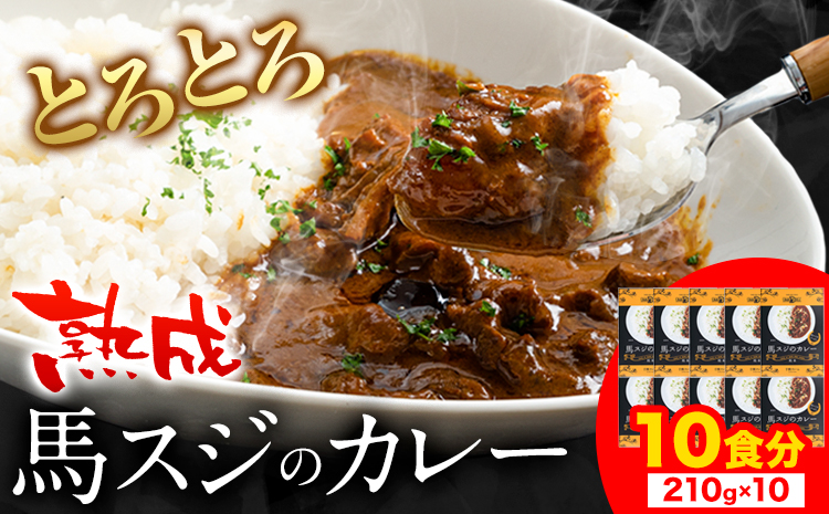 たっぷり！馬スジカレー 10食セット《60日以内に順次出荷(土日祝除く)》馬スジ カレー お肉 馬すじ カレーライス 馬肉 贈答 ギフト グルメ お取り寄せ 熊本県 南阿蘇村 送料無料 個包装 大人気 簡単調理 千興ファーム---sms_fbsjikr_60d_23_14500_10set---