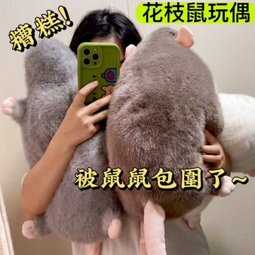 隔日達 花枝鼠玩偶 仿真老鼠玩偶 老鼠娃娃 花枝鼠娃娃 大老鼠娃娃 老鼠玩偶 鼠娃娃 毛絨公仔 玩偶公仔娃娃禮物生日禮物
