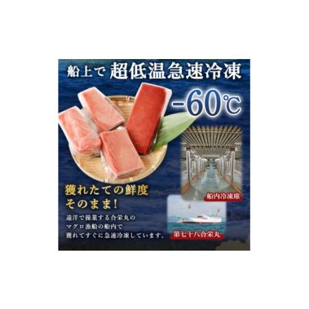 ふるさと納税 厳選 天然 本マグロ 中トロ 赤身 セット６００ｇ 以上 まぐろ 鮪 100% 冷凍 刺身 海鮮 丼 室戸 _ge004 高知県室戸市