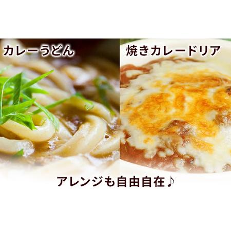 ふるさと納税 牛すじカレー　10パック 福岡県古賀市