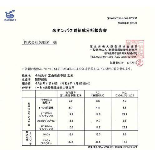 白米富山県産「低たんぱく米」「低グルテリン米」春陽（令和３年産）5kg