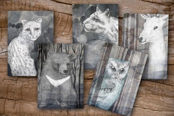 逐夢築夢  臺灣特有山中精靈明信片禮卡