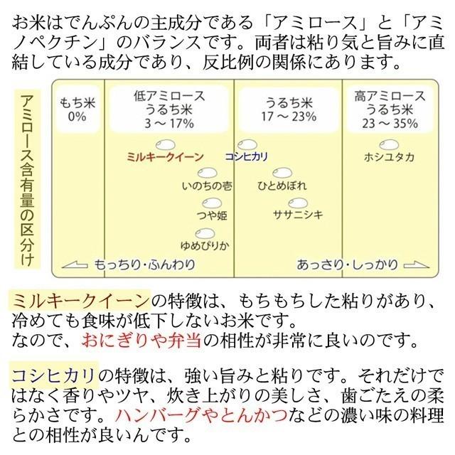 新米 コシヒカリ 5kg あすつく 送料無料 こしひかり ギフト プレゼント お米 米 無洗米 白米 玄米 おこめ こめ コメ 栃木県 2023年産 お祝い 内祝 お取り寄せ