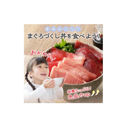 ふるさと納税 静岡県 焼津市 a39-004　マグロ 大トロ 中トロ ねぎとろ 詰合せ セット S8