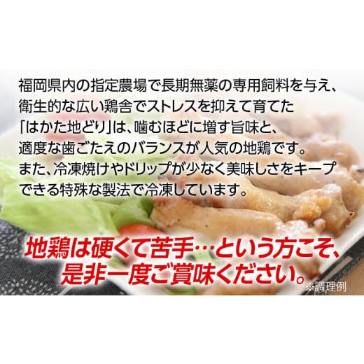 ふるさと納税 福岡県 田川市 福岡県産地鶏「はかた地どり」もも肉(約1kg)