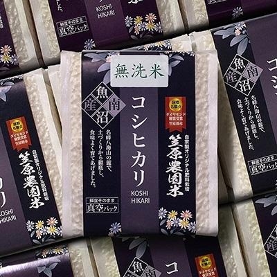 ふるさと納税 南魚沼市 令和5年産　南魚沼産 笠原農園米 コシヒカリ無洗米真空パック(450g×20個)