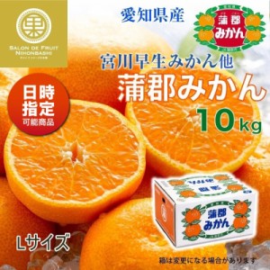 [予約 2023年 12月15日頃から発送] 蒲郡みかん 約10kg Lサイズ 愛知県蒲郡産 産地箱 蒲郡早生みかん 早生 蒲郡 宮川早生 他 冬ギフト お