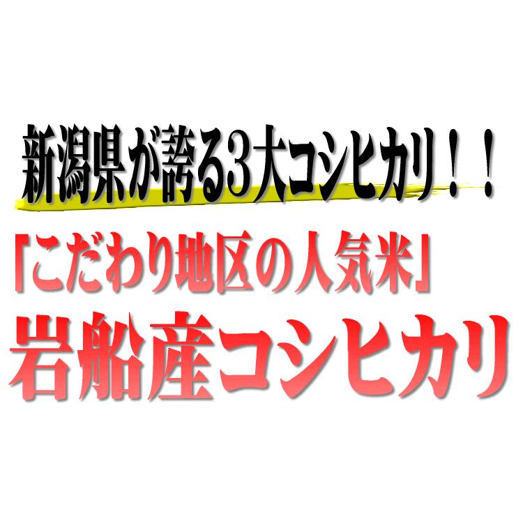 新潟県岩船産こしひかり　10kg(5kg×2) 